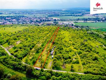 Prodej sadu, vinice 3876 m2, Židlochovice