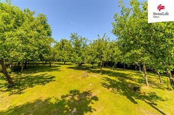 Prodej zemědělské usedlosti 1100 m2, Zádolí