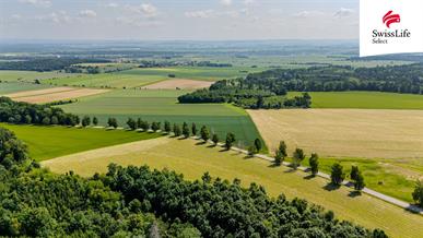 Prodej zemědělské usedlosti 1100 m2, Zádolí