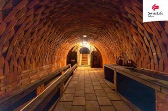 Prodej rodinného domu 194 m2 Vinohradní, Šakvice