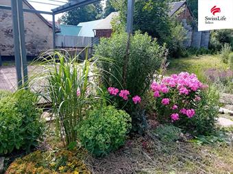 Prodej stavebního pozemku 3877 m2, Horní Cerekev