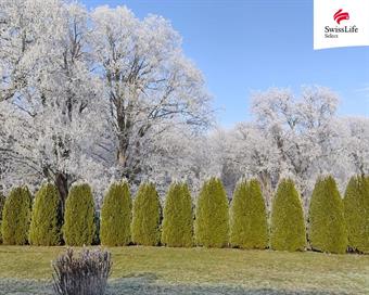 Prodej rodinného domu 350 m2