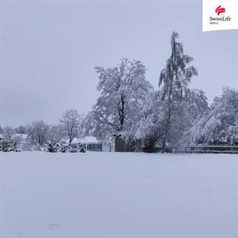 Prodej rodinného domu 350 m2