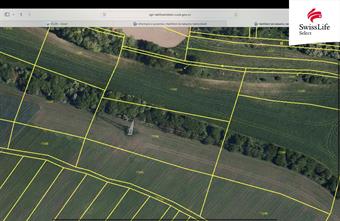 Prodej pole 9367 m2, Brumovice