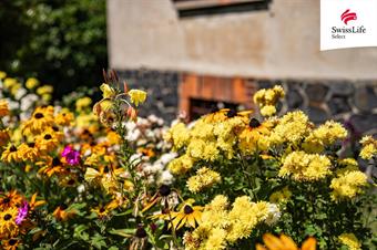 Prodej rodinného domu 126 m2, Krásná Lípa