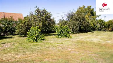 Prodej vícegeneračního domu 195 m2 Drnholecká, Hrušovany nad Jevišovkou