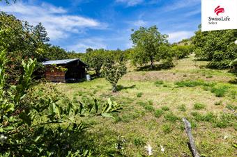Prodej stavebního pozemku 3477 m2, Žalhostice