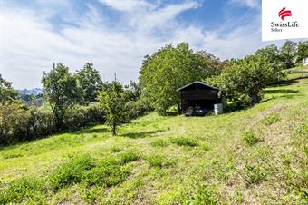 Prodej stavebního pozemku 3477 m2, Žalhostice