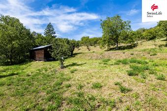 Prodej stavebního pozemku 3477 m2, Žalhostice