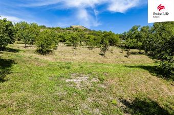 Prodej stavebního pozemku 3477 m2, Žalhostice