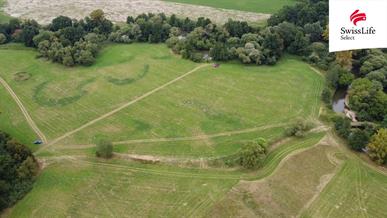 Prodej louky 25790 m2 Borohrádek