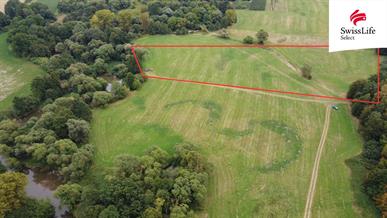 Prodej louky 25790 m2 Borohrádek
