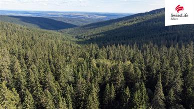 Prodej komerčního pozemku 1558 m2, Stará Ves