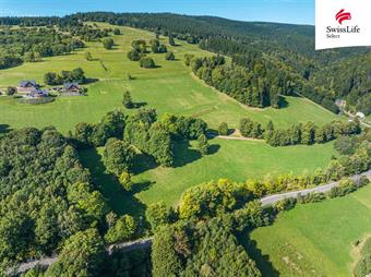 Prodej louky 7133 m2, Žacléř