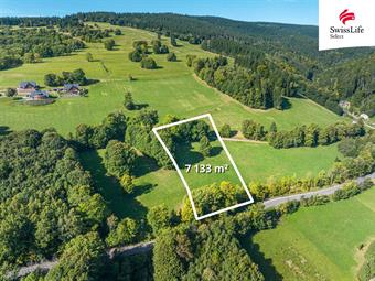 Prodej louky 7133 m2, Žacléř