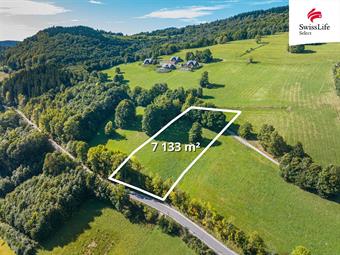 Prodej louky 7133 m2, Žacléř