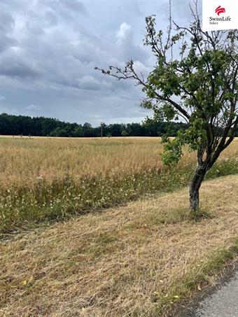 Prodej stavebního pozemku 1109 m2, Hřibiny-Ledská