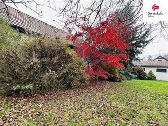 Pronájem bytu 1+1 39 m2 Čtyřkolská, Praha