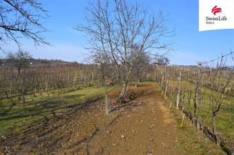 Prodej sadu, vinice 1748 m2, Bzenec