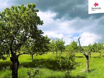 Prodej stavebního pozemku 892 m2, Hrádek