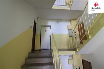 Prodej bytu 1+kk 21 m2 Palackého, Chodov