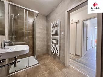 Pronájem bytu 2+kk 46 m2 Habrová, Blovice