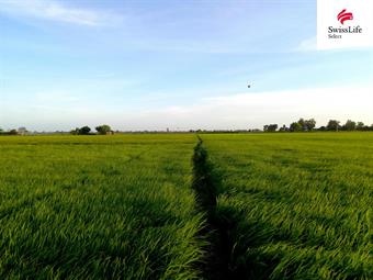 Prodej pole 75919 m2, Knínice