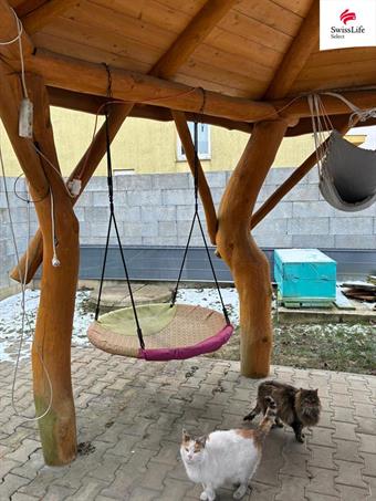 Prodej rodinného domu 110 m2 Anenská, Šenov u Nového Jičína