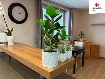 Prodej rodinného domu 110 m2 Anenská, Šenov u Nového Jičína