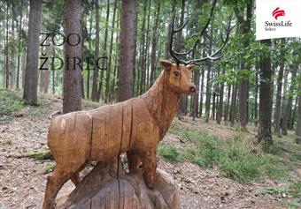 Prodej rodinného domu 88 m2, Ždírec