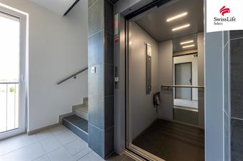 Pronájem bytu 2+kk 53 m2 Vysoká, Plzeň