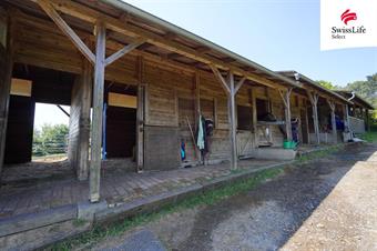 Pronájem komerčního pozemku 150 m2, Třebušín