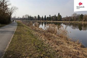 Prodej pozemku 4264 m2 Přístavní, Čelákovice