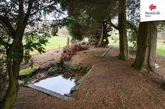 Prodej vícegeneračního domu 500 m2 Horní, Počátky