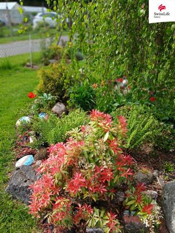 Prodej zahrady 416 m2 Trutnov