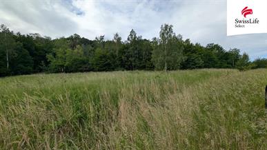 Prodej louky 216333 m2, Ústí nad Labem