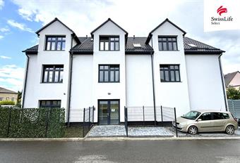 Pronájem bytu 2+kk 46 m2 Prokopa Velikého, Nový Bor