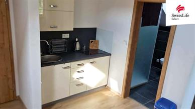 Pronájem bytu 1+kk 32 m2, Břehov