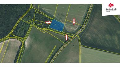 Prodej pole 4151 m2, Polepy