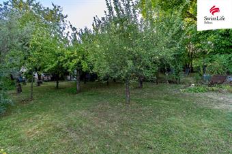 Prodej rodinného domu 297 m2 Tůmova, Zábřeh