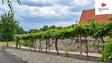 Prodej rodinného domu 662 m2, Jiřice u Miroslavi