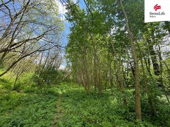 Prodej lesa 6071 m2, Horní Dunajovice