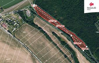 Prodej lesa 6071 m2, Horní Dunajovice