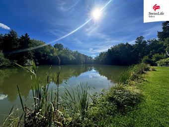 Prodej zahrady 1382 m2 U Koldomu, Litvínov