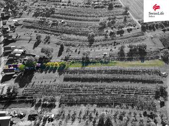 Prodej vinného sklepa 132 m2, Vlkoš