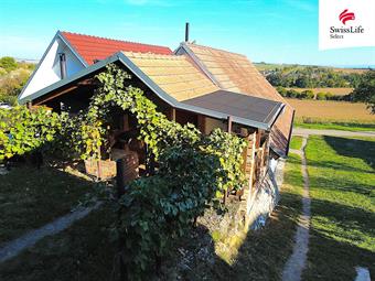 Prodej vinného sklepa 132 m2, Vlkoš